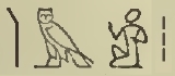 Hieroglyph aam (pl) EgDict-111